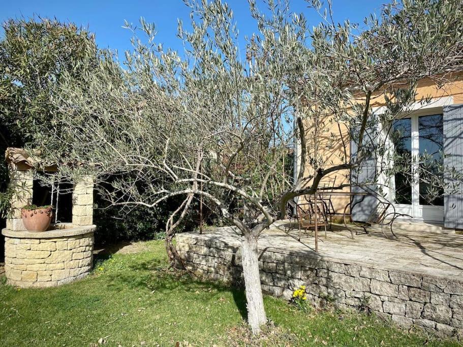 Belle Maison Provencale Au Pied Du Mont Ventoux Villa *